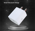 Proton 4 Compact Fast Charger